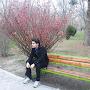 @jalalhojatiyan9025