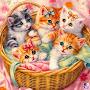 @홍준희-v9h