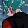 @Vegito_Collects