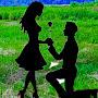 @shayari2456