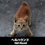 @猫好き猫好き-d2h
