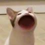 @아린-f8t7w