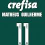 @Palmeiras_maior_paulista