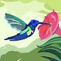 @khoshbakhtfarnaz42