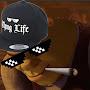 @BilelTHUGLIFE