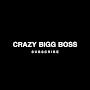 @CrazyBiggBoss
