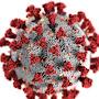 @coronavirus-ce1gh