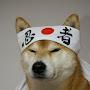 @shiba2ndworlder