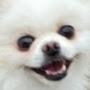 @오멍셋