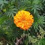 @Barla569