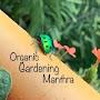@ORGANICGARDENINGMANTHRA