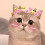 @farhatbeisembaiev8085