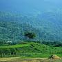 @engr.md.ashaduzzamanarif5728