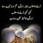 @saleemsabahat2856