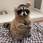@sqrtyraccoon