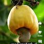 @கிராமத்துபையன்1