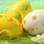 @giap9981