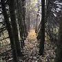@Прибыль-ъ5т