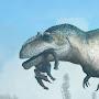 @Gigas_Carolinii