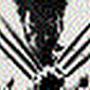 @wolverine3566