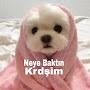 @Neyebaktnkrdşm