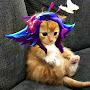 @Neekoothecat