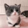 @futuristicegg9633