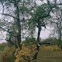 @серж-ы5л