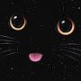 @CatWithClaws