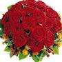 @hyderymr