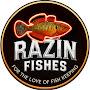 @razinfishes
