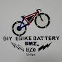 @diy_ebikesq8162