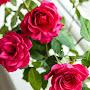 @bhaaalhakeem976