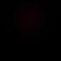 @뉴다어니트3131