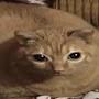 @luhgarf