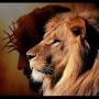 @secretofc.j8911
