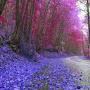 @brideofchrist7770