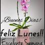 @robertoandrea2