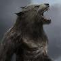 @undeadwerewolf8450