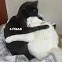 @모로모로