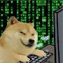 @Hamker_doge