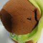 @별쵸코-k8b