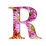 @R-channn2ov2yp1r