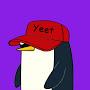 @nootypenguino