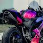 @vypeouter5797