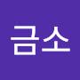 @금소-p1s