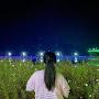 @김혜진-f5v