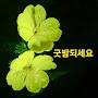 @윤희-o6w