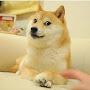 @lovedoge