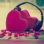 @raheelaowais8006